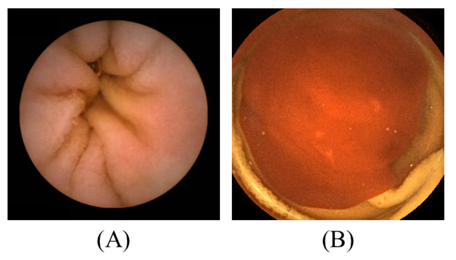 Electronics 11 02747 g0a2