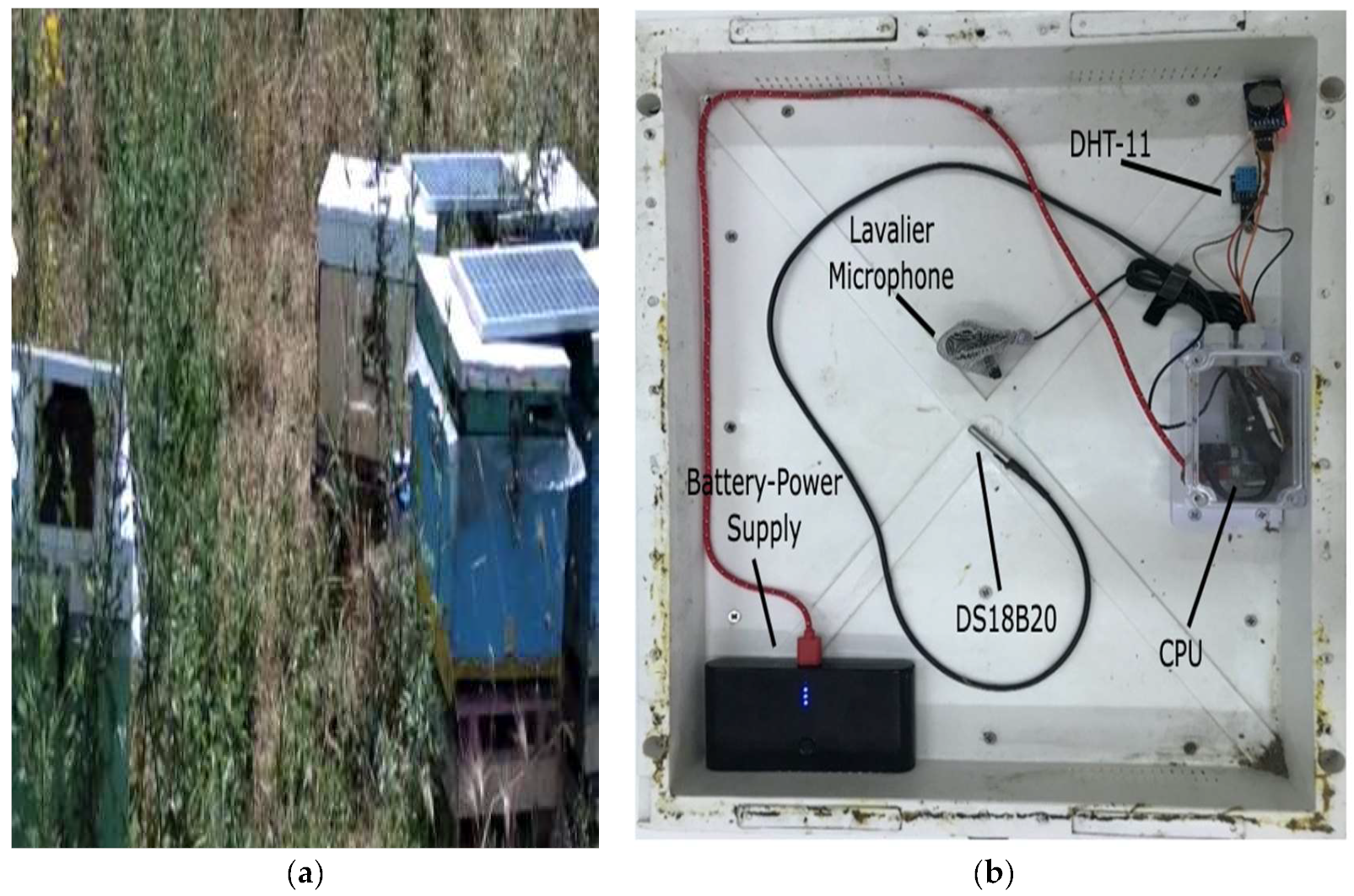 Electronics 11 03152 g006