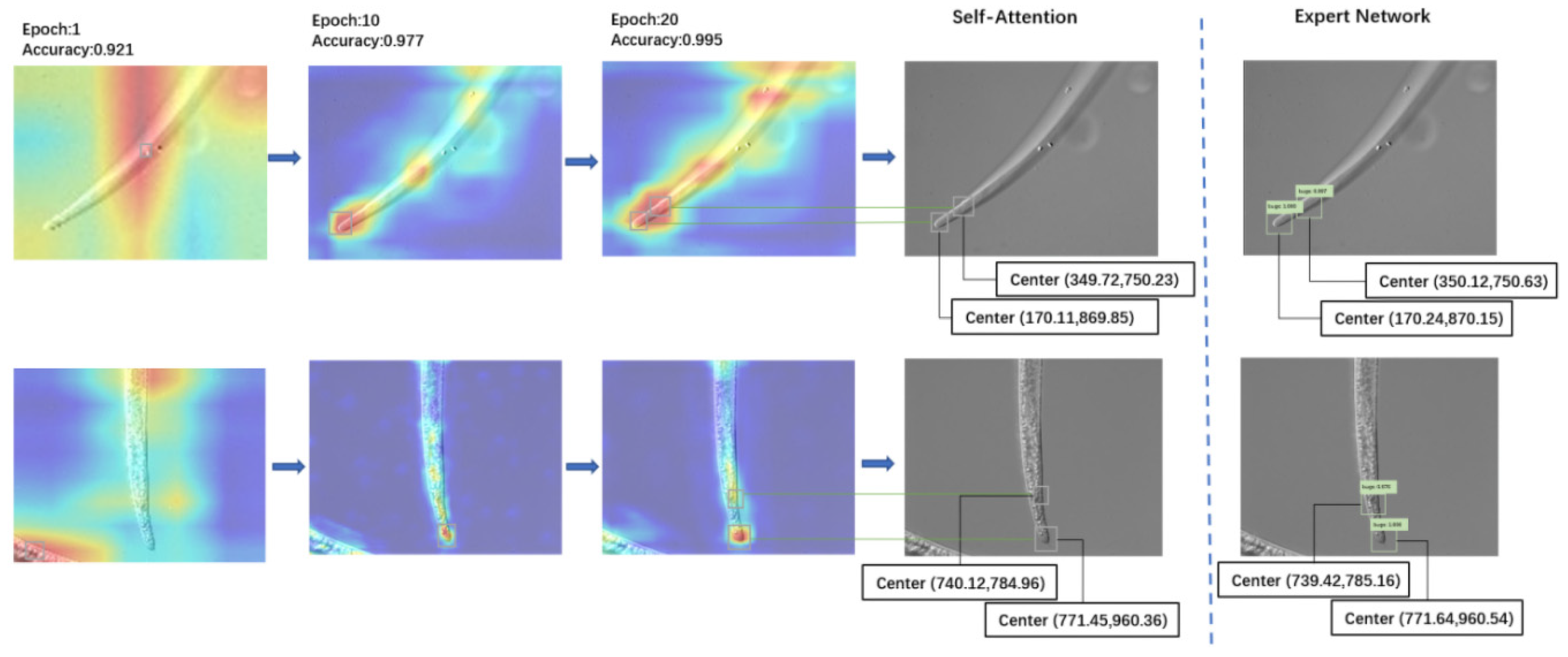 Electronics 11 03497 g009 Electronics 11 03497 g009