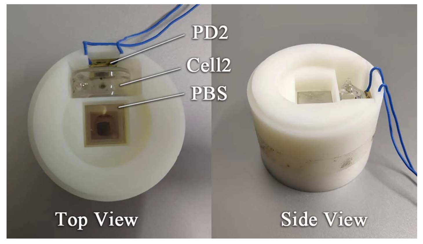 Electronics 11 03666 g004
