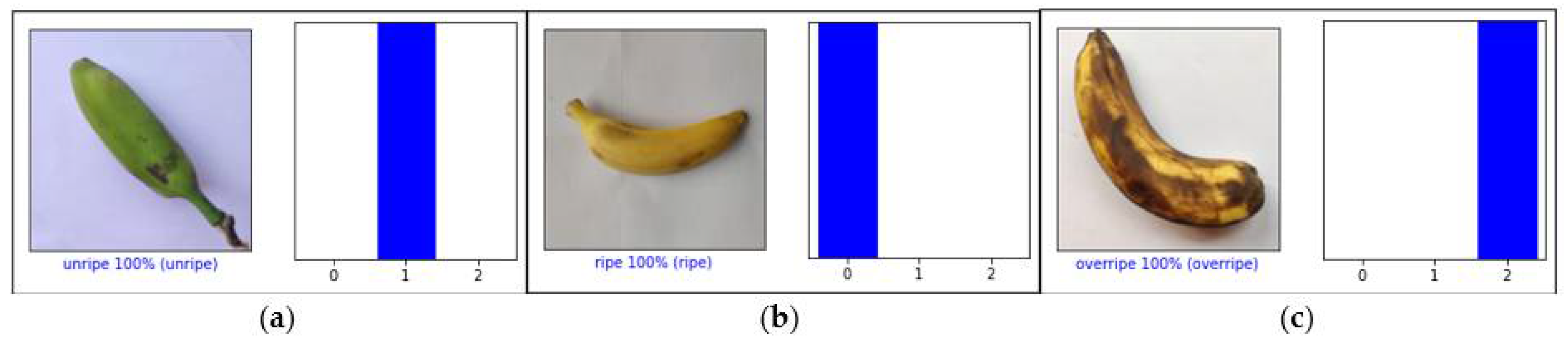 Electronics 11 04100 g009 Electronics 11 04100 g009