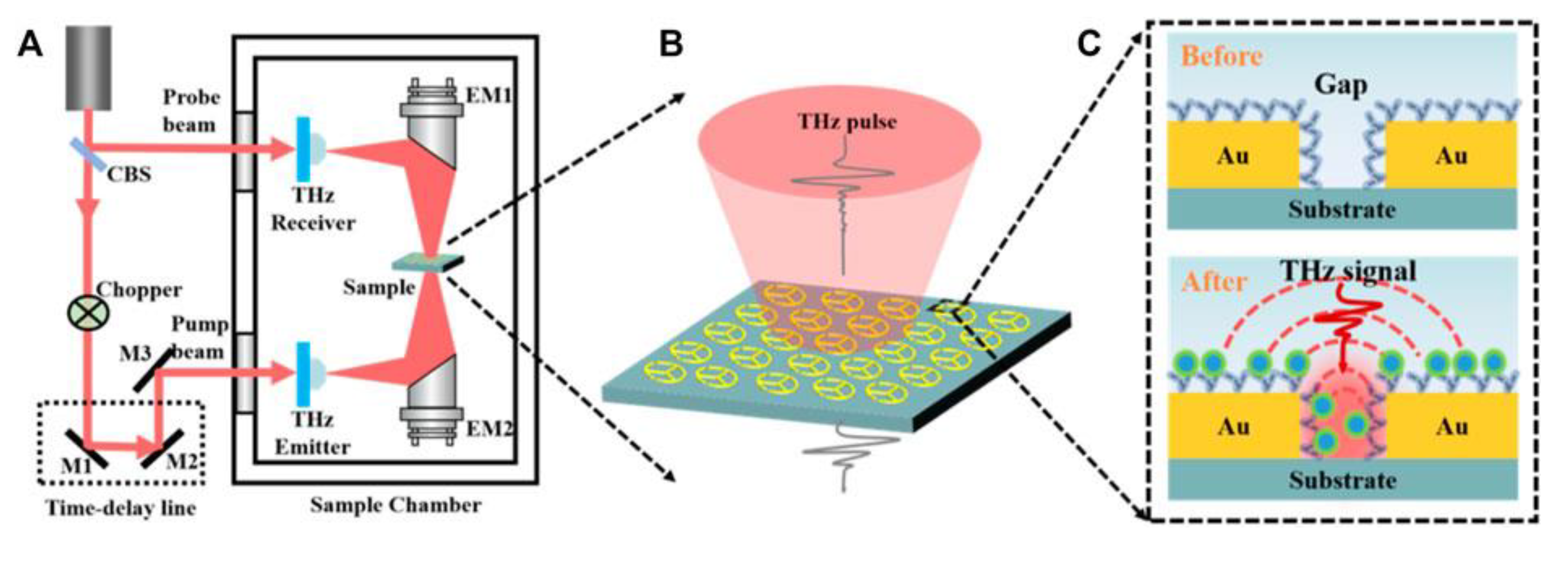 Electronics 12 00135 g010