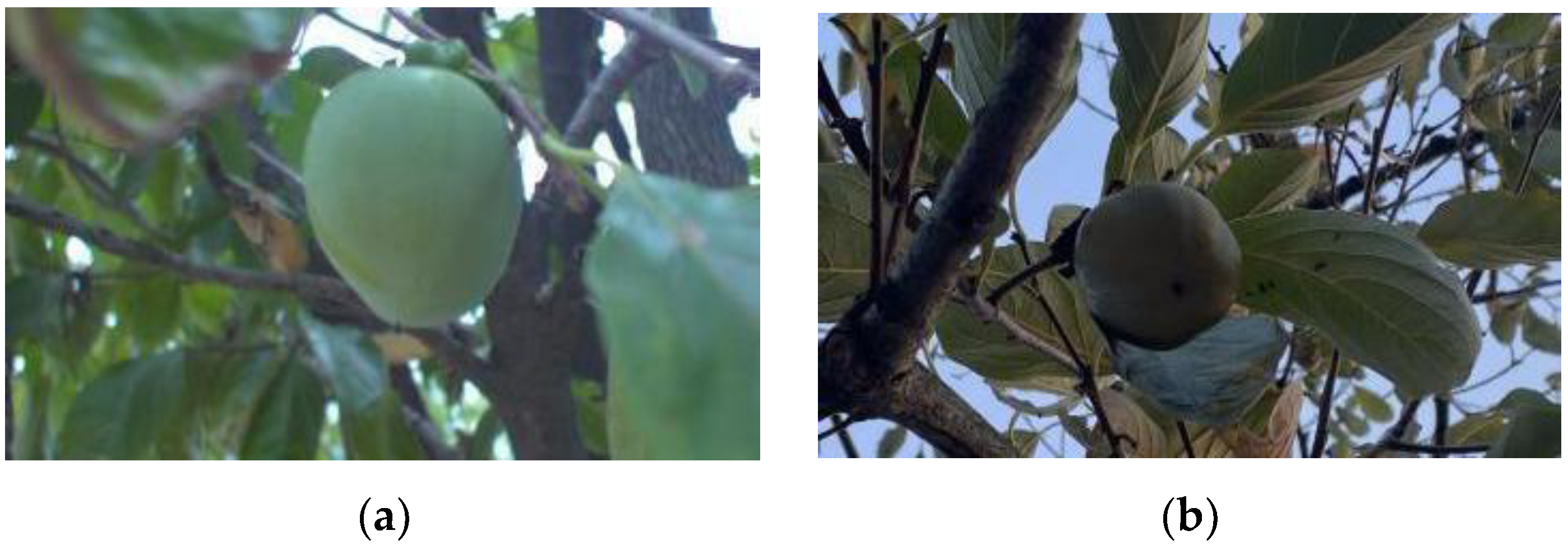 Electronics 12 00785 g001