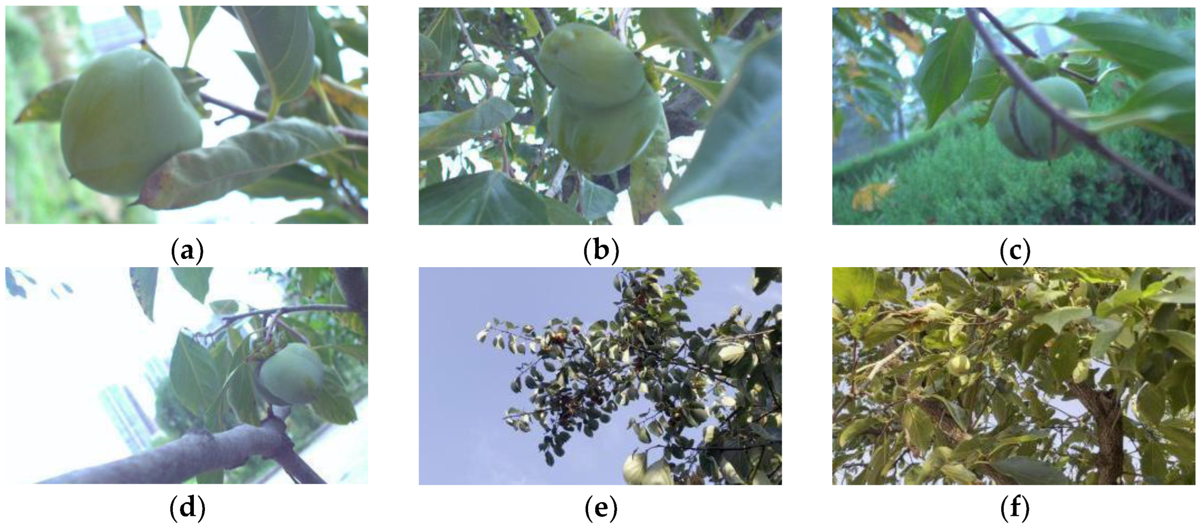 Electronics 12 00785 g002