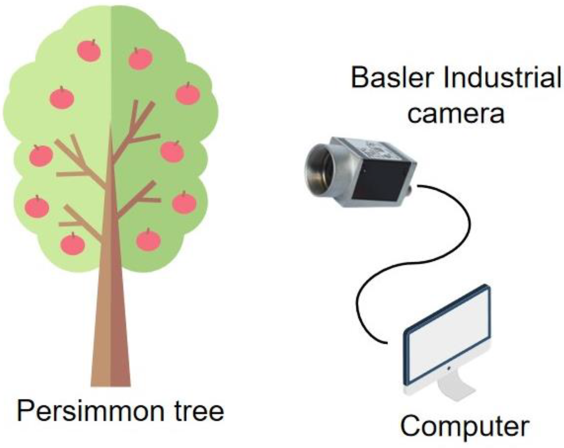 Electronics 12 00785 g003