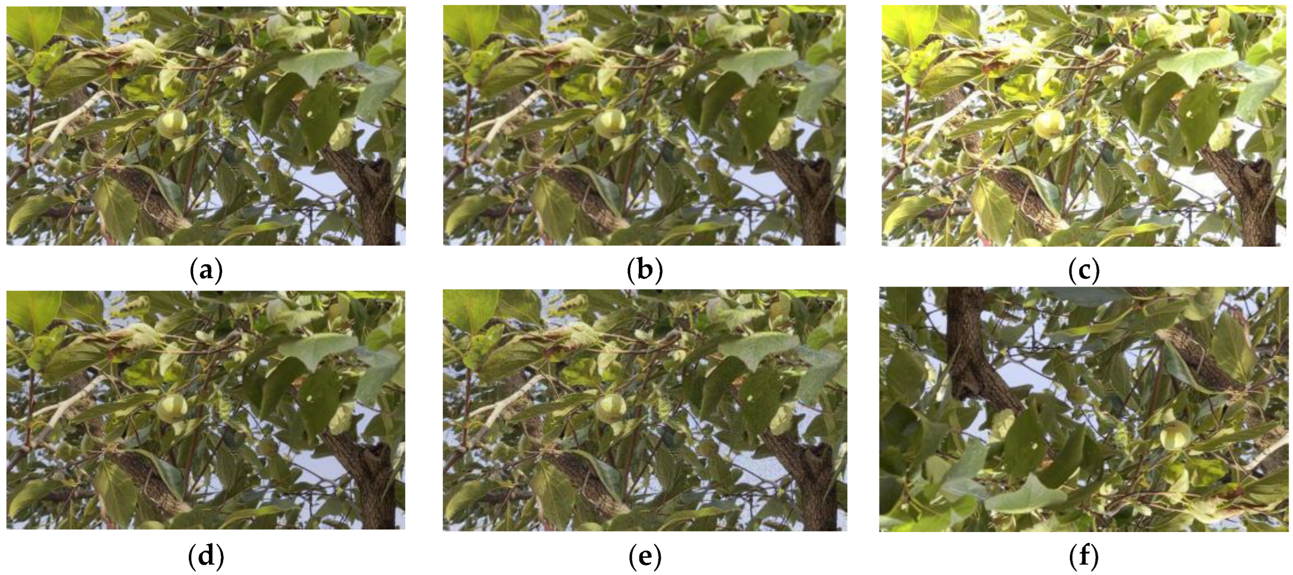 Electronics 12 00785 g004