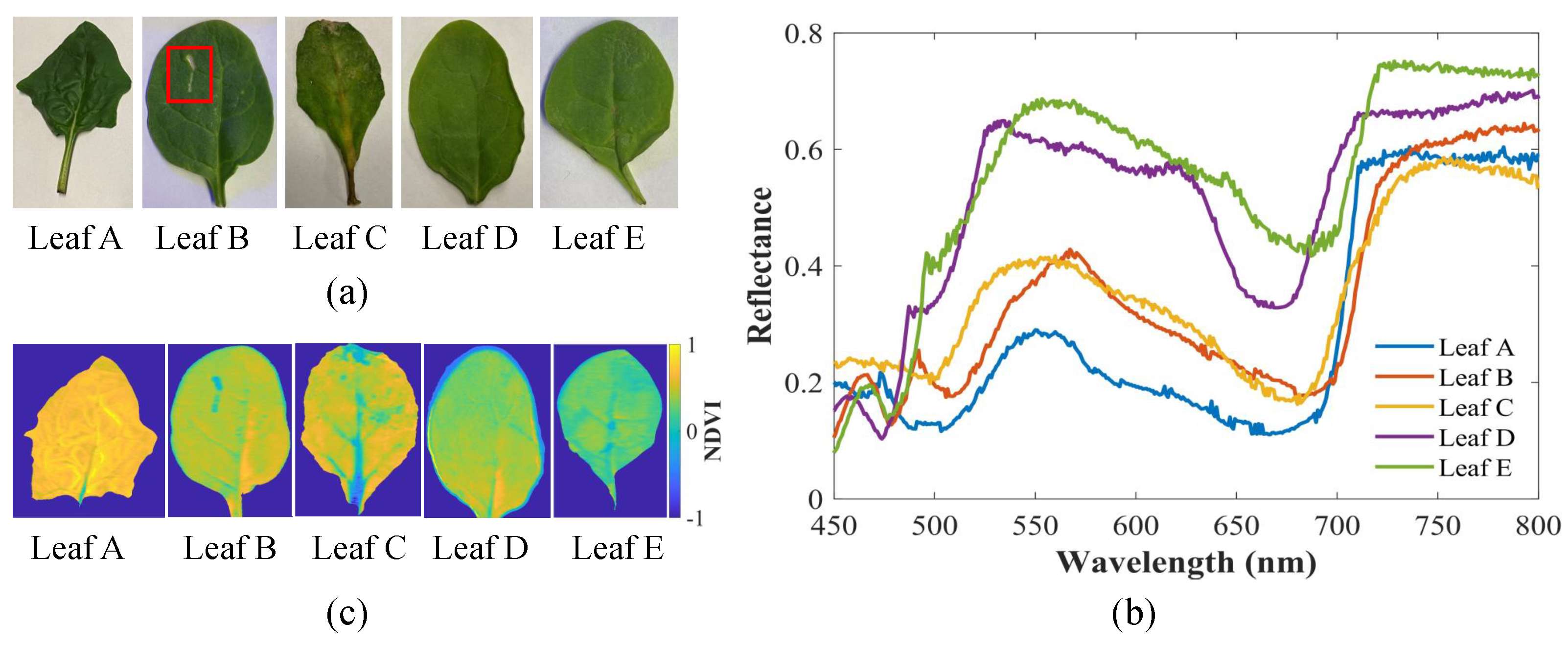 Electronics 12 00859 g012