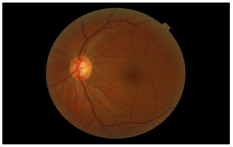 Electronics 12 00862 i002 Electronics 12 00862 i002