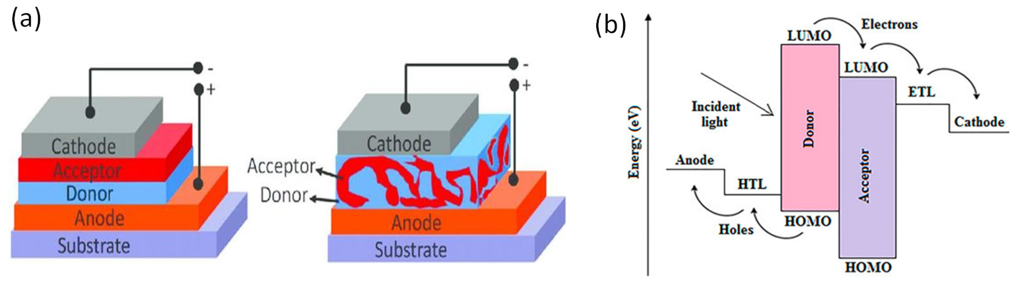 Electronics 12 00992 g005