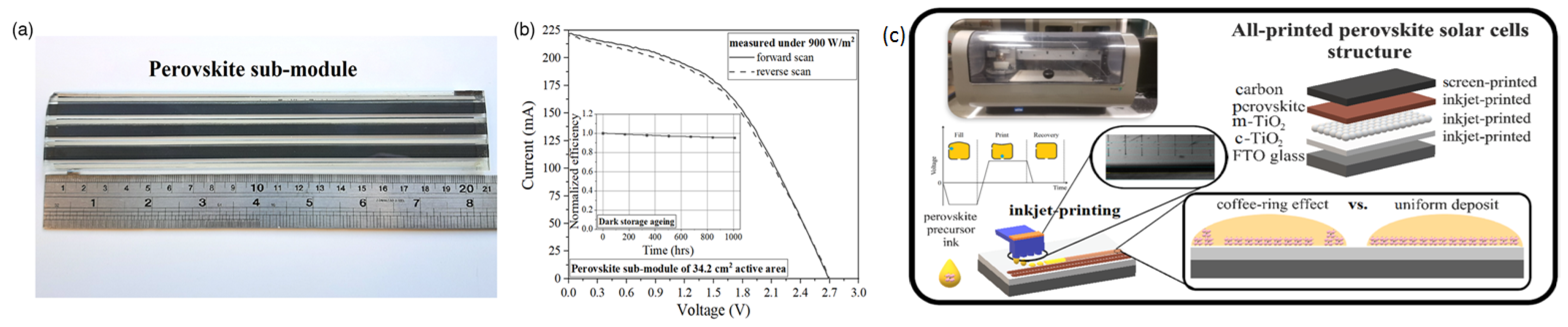 Electronics 12 00992 g019