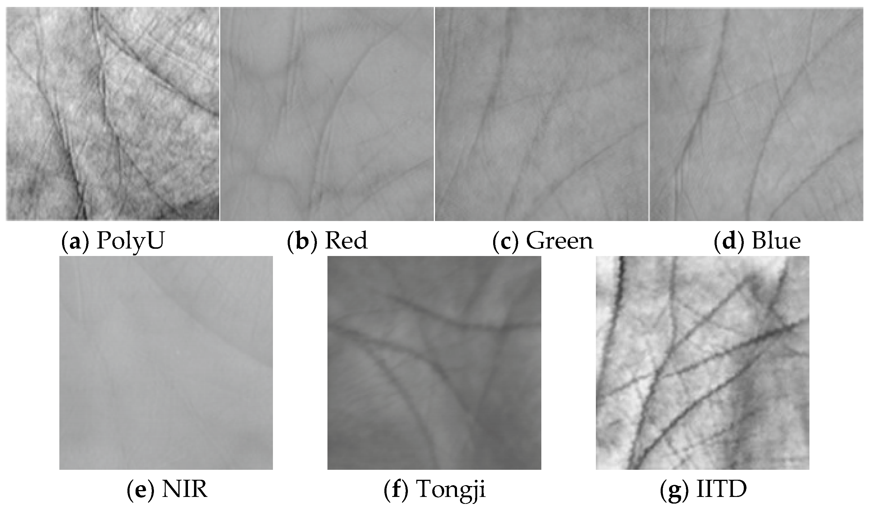 Electronics 12 02455 g002 Electronics 12 02455 g002
