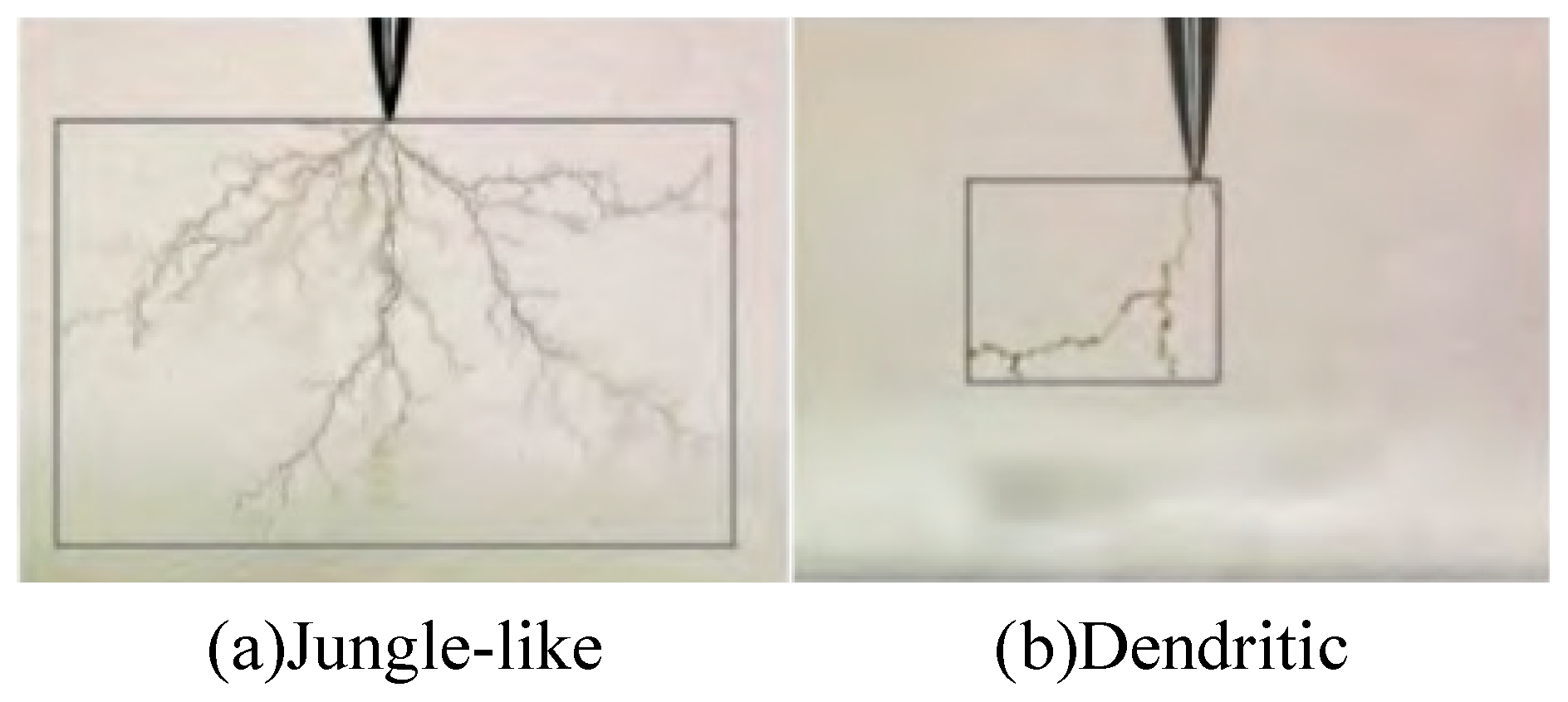 Electronics 12 03248 g007