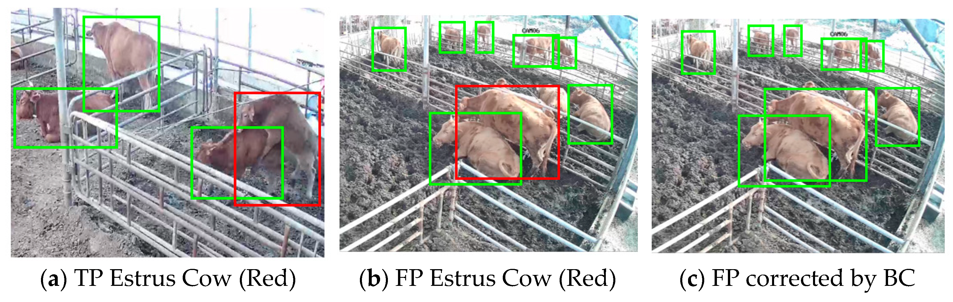 Electronics 12 03275 g004 Electronics 12 03275 g004