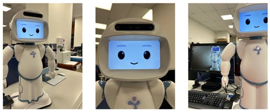 MARCo - The Mentally Assistive Robotic Companion