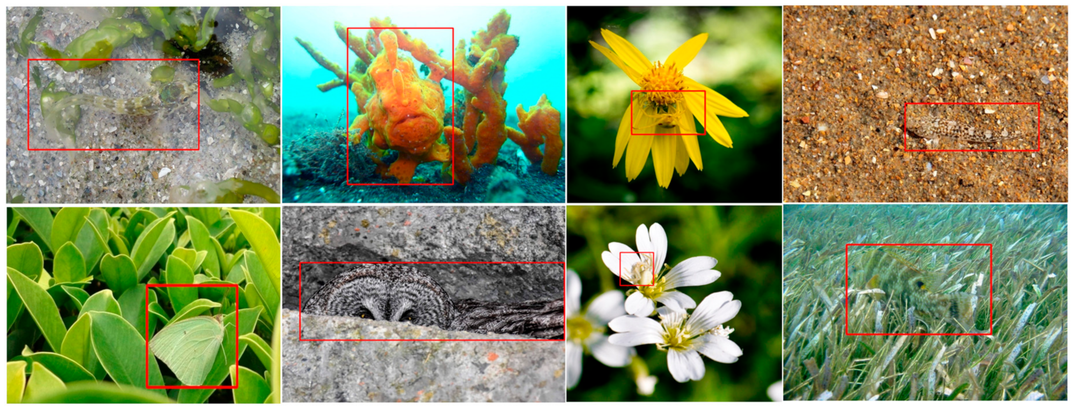 Electronics 12 04213 g001