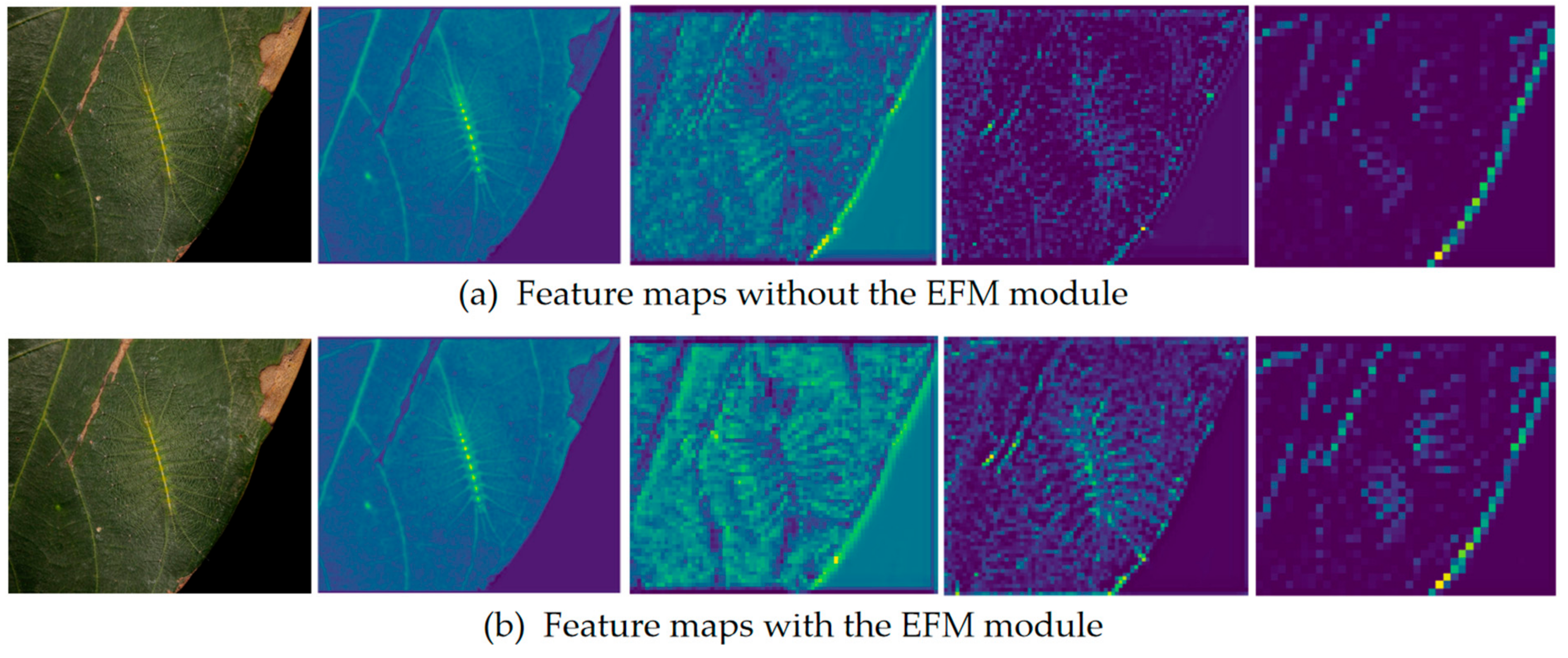 Electronics 12 04213 g005