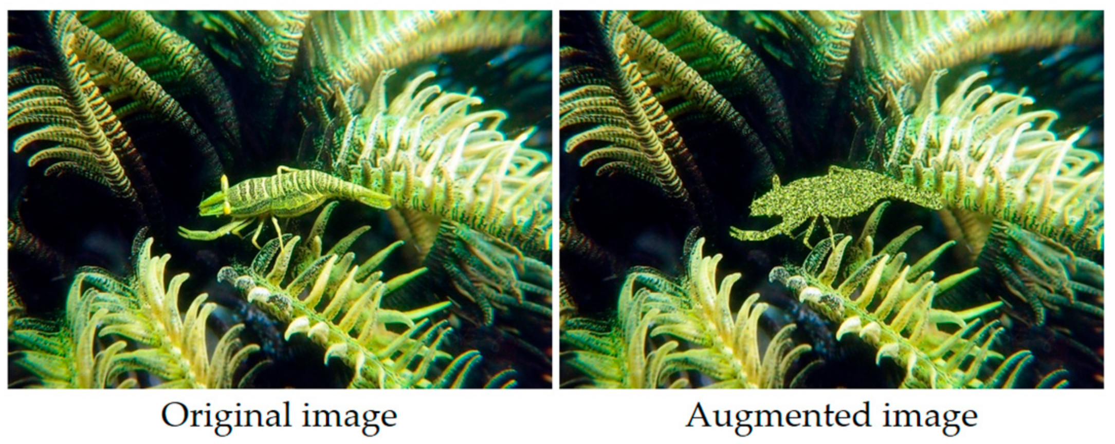 Electronics 12 04213 g007