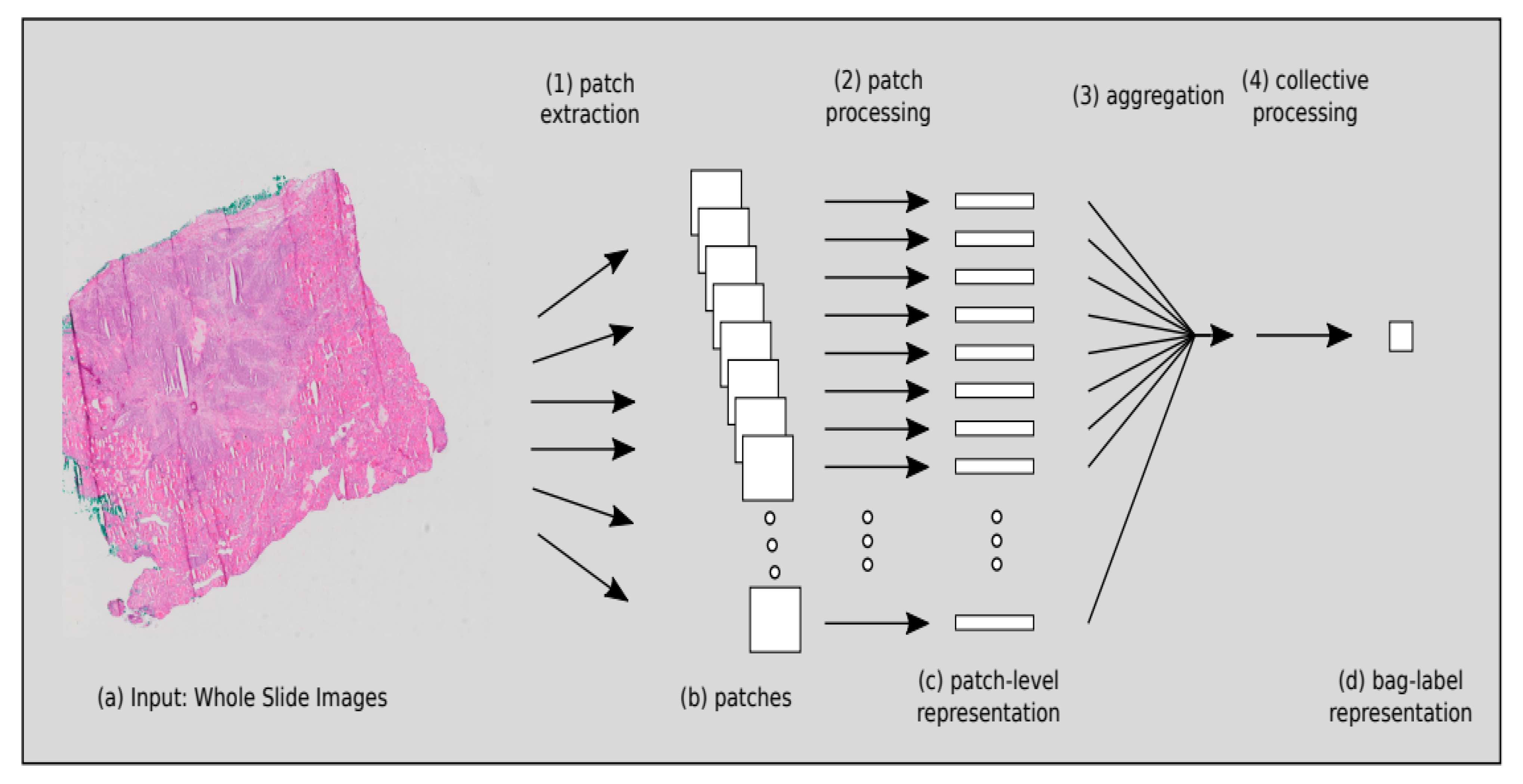 Chemical complexity challenge: Is multi‐instance machine learning a  solution? - Zankov - 2024 - WIREs Computational Molecular Science - Wiley  Online Library