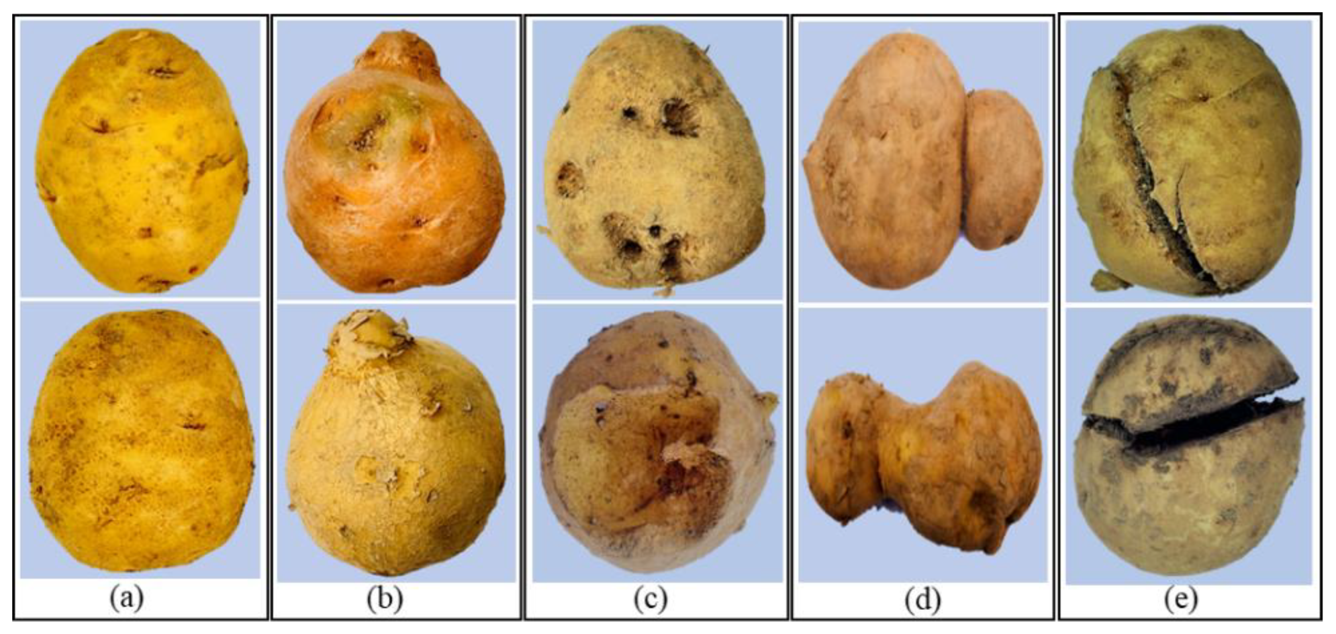 Electronics 12 04461 g004