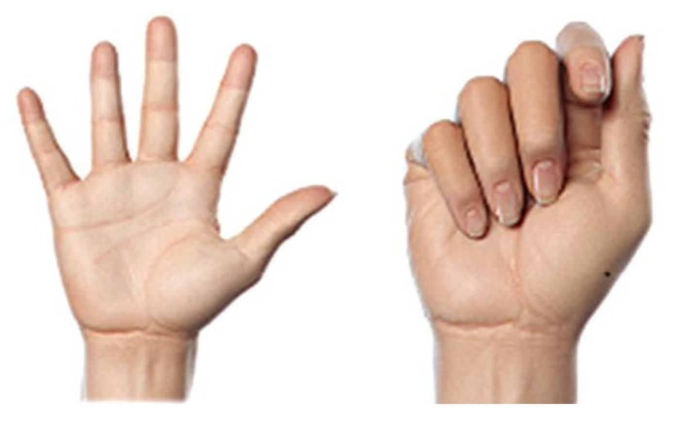 Electronics 13 00565 g004