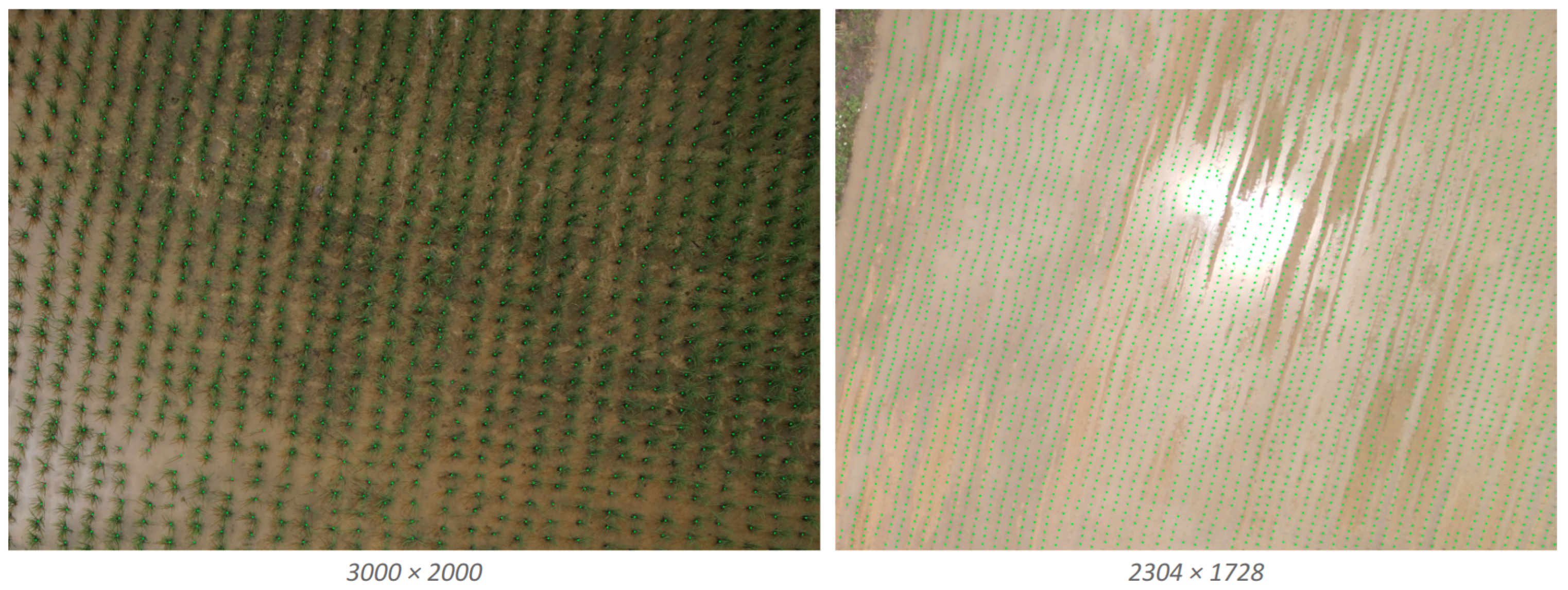 Electronics 13 00632 g001