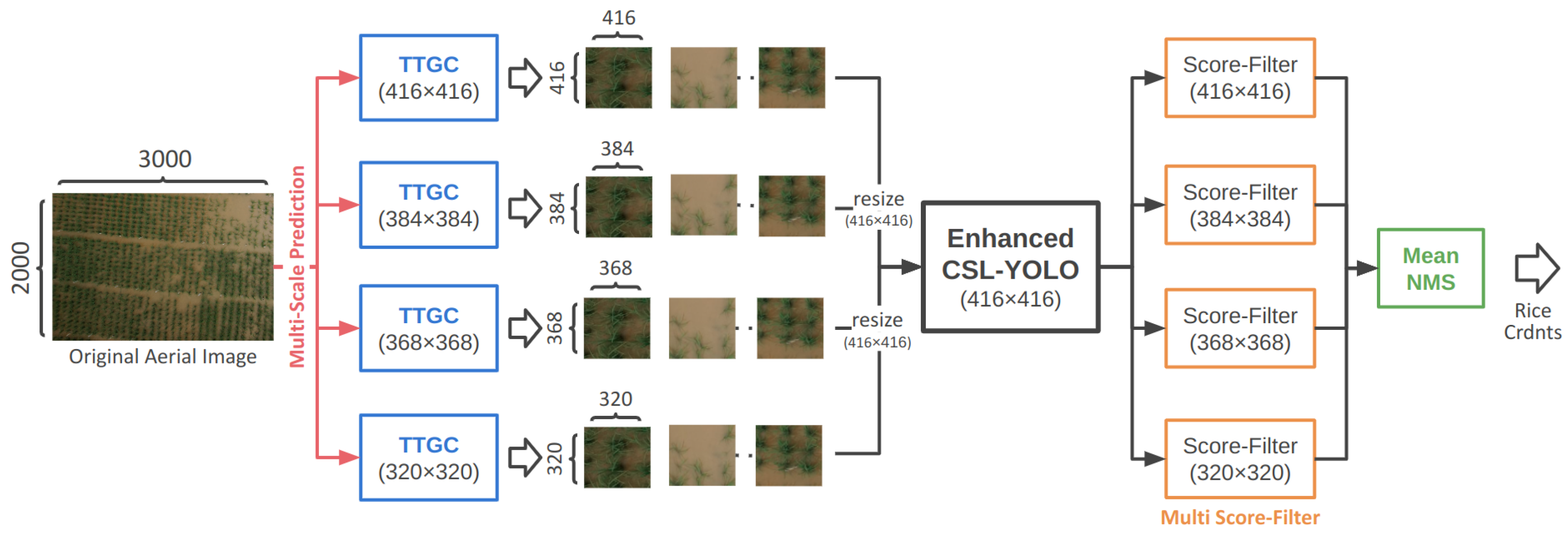 Electronics 13 00632 g005