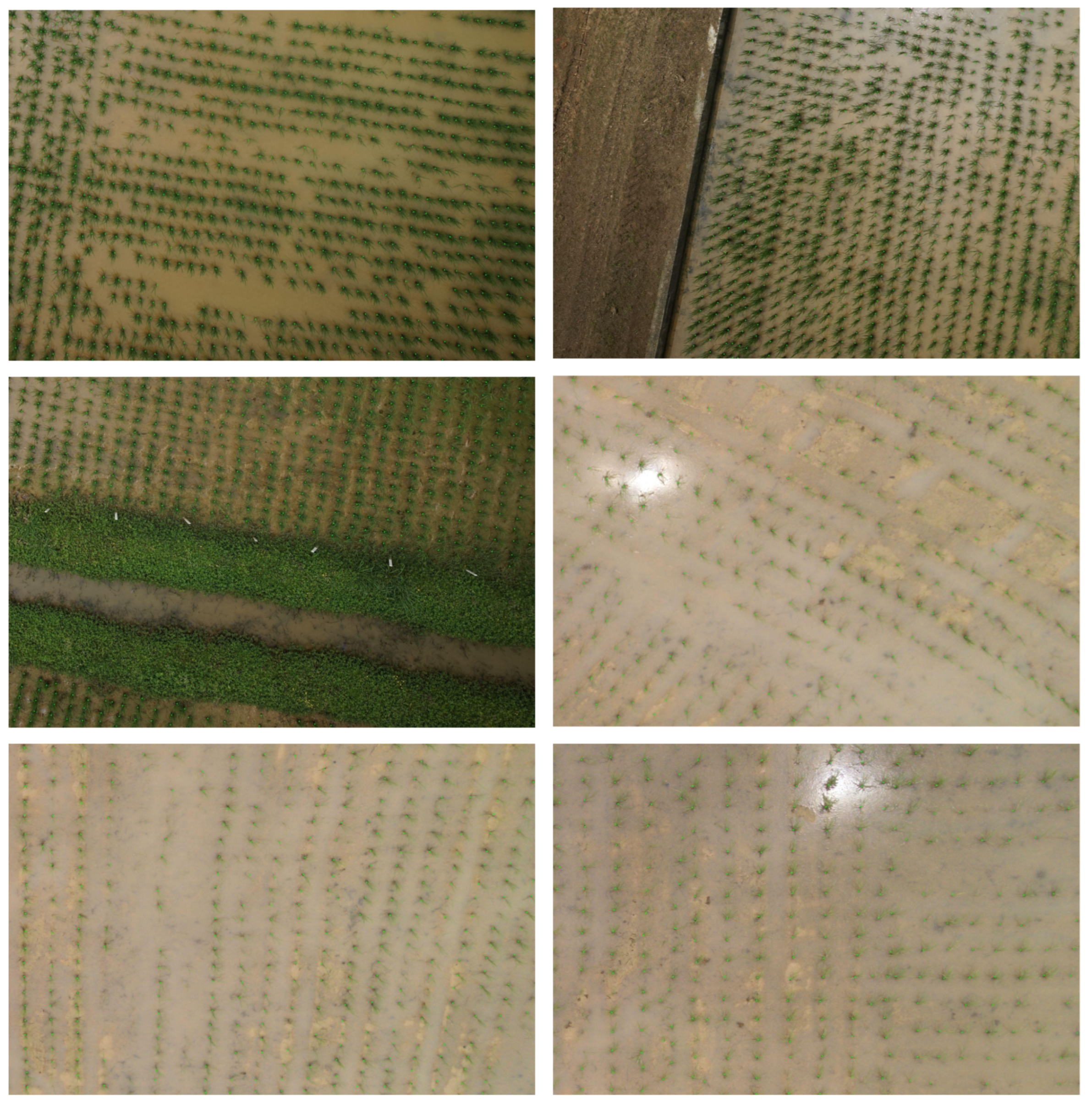 Electronics 13 00632 g008