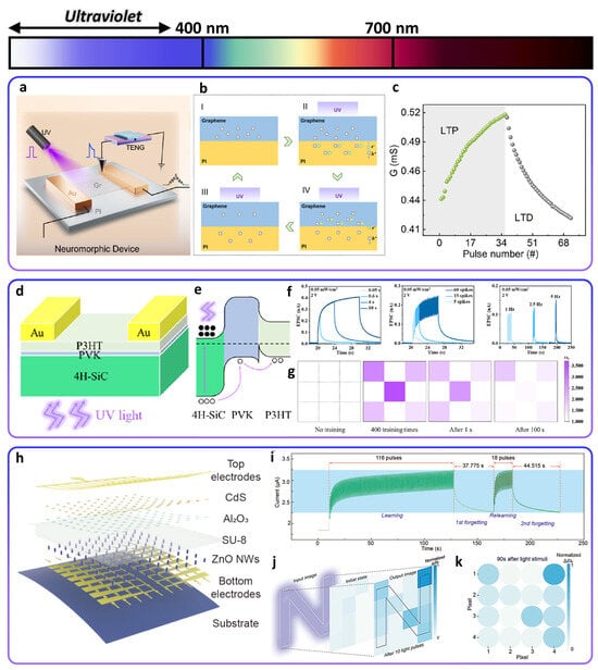 A spectrum of spikes allows this novel electronic skin to sense