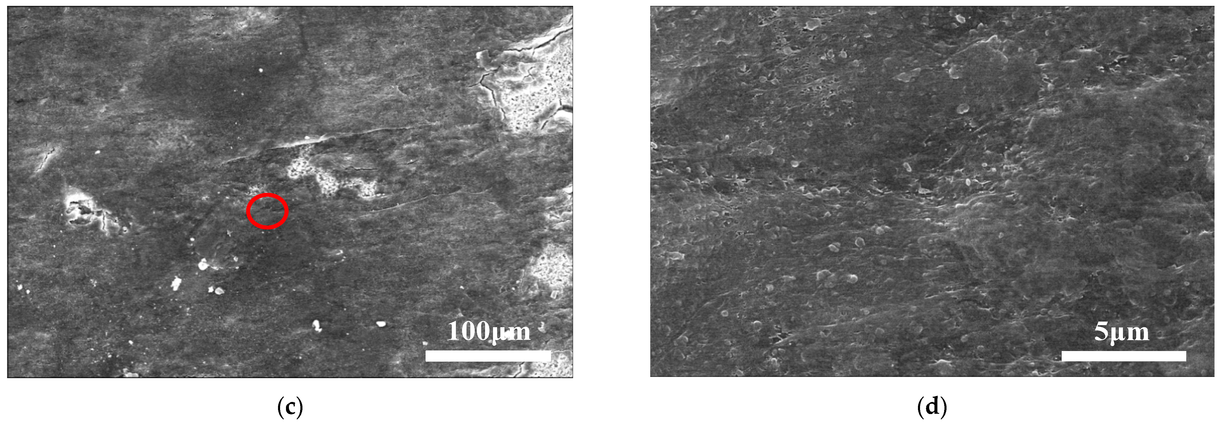 Electronics 13 01505 g006b