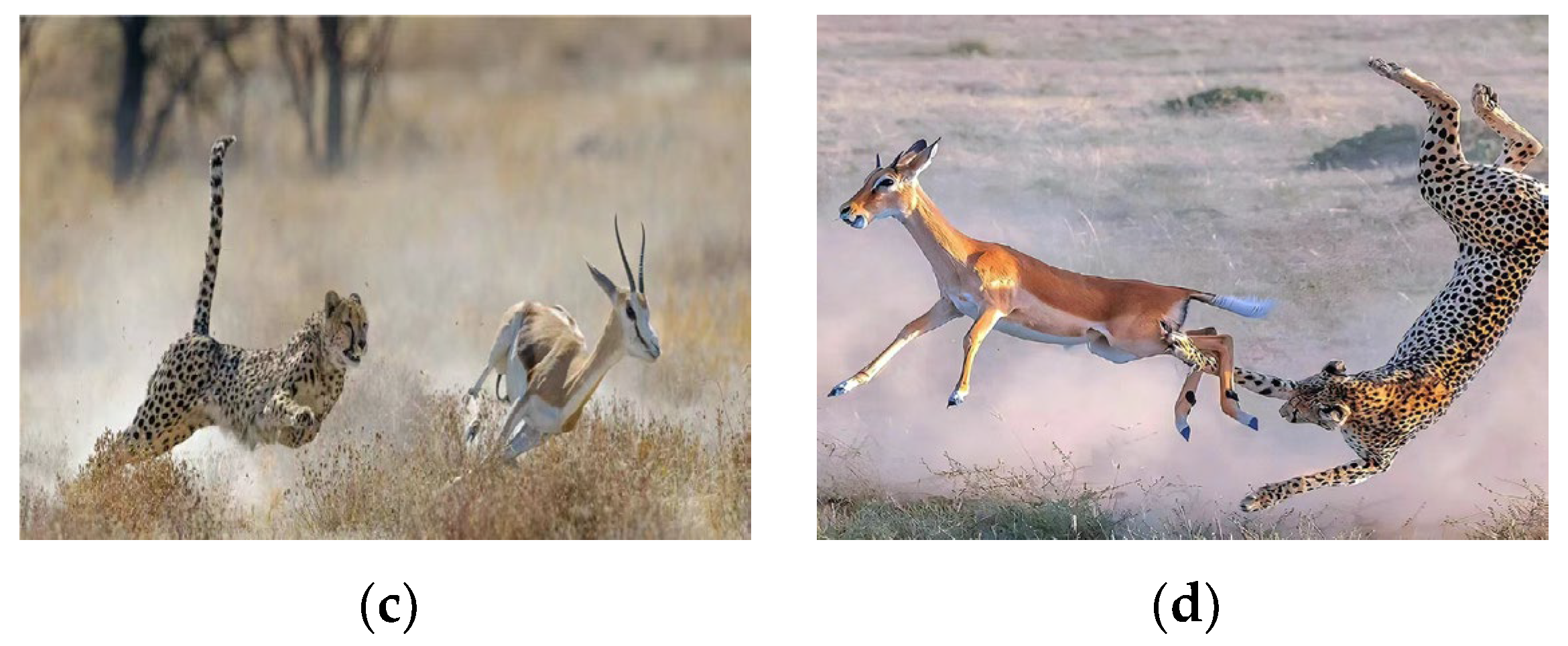 Electronics 13 01842 g001b