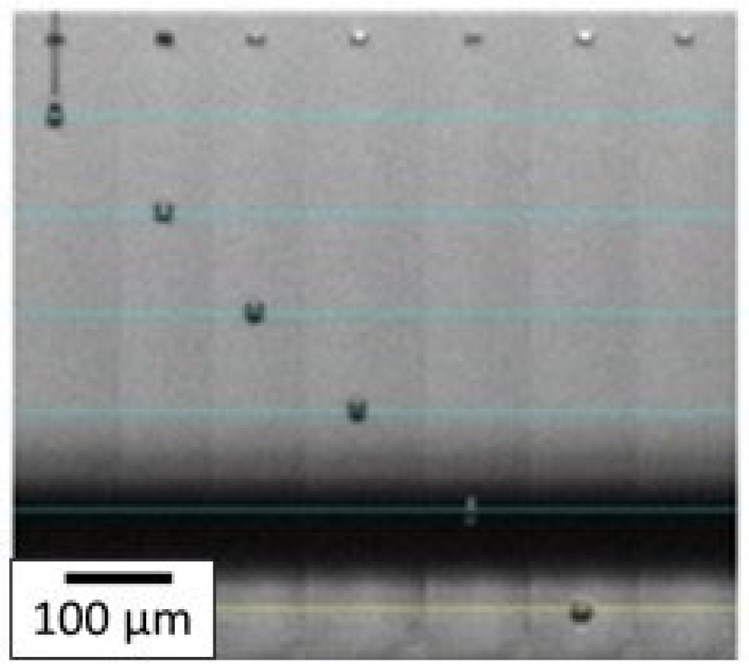 Electronics 13 02110 g009