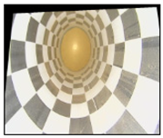 Electronics 13 02898 i038 Electronics 13 02898 i038