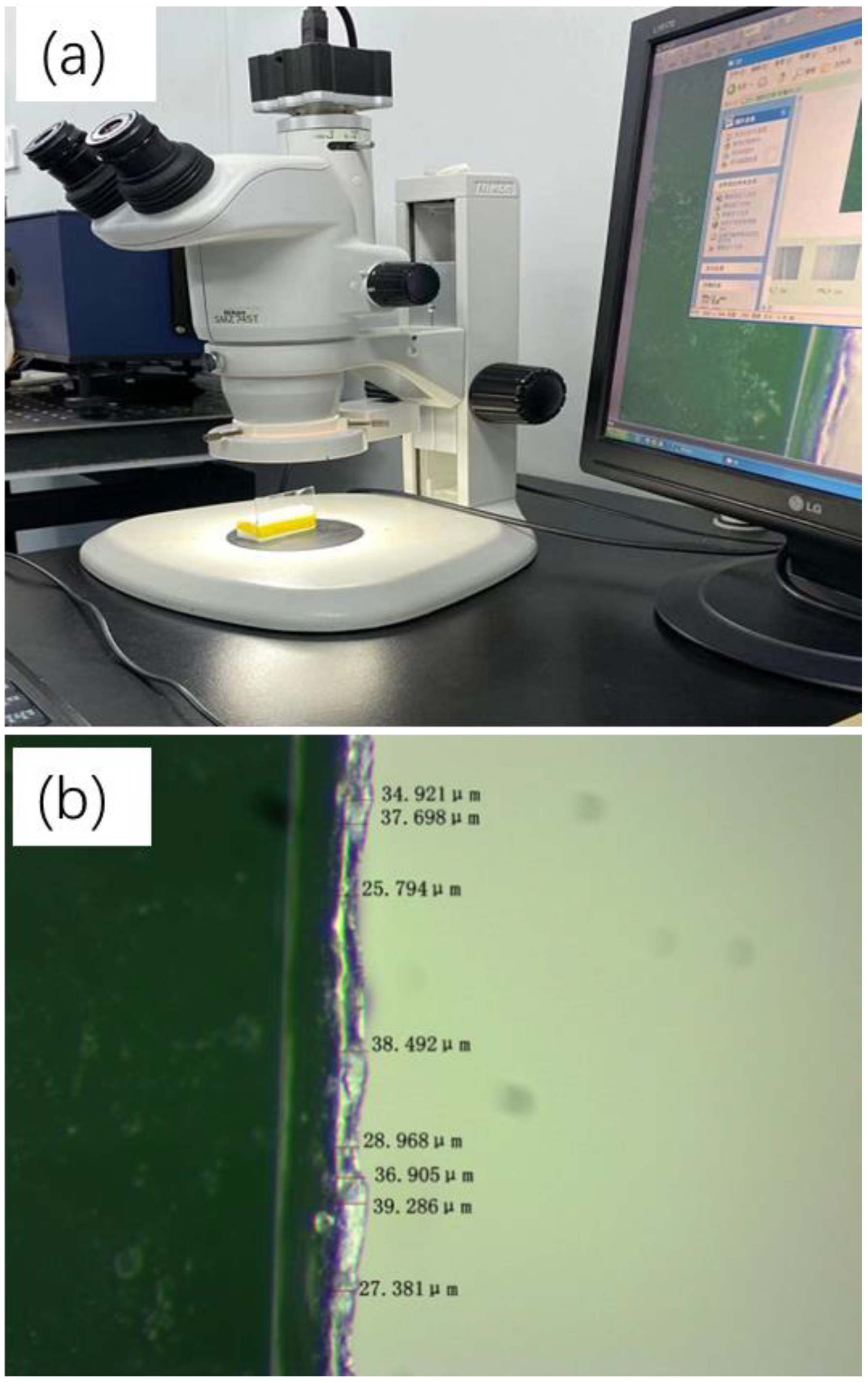 Electronics 13 02910 g005