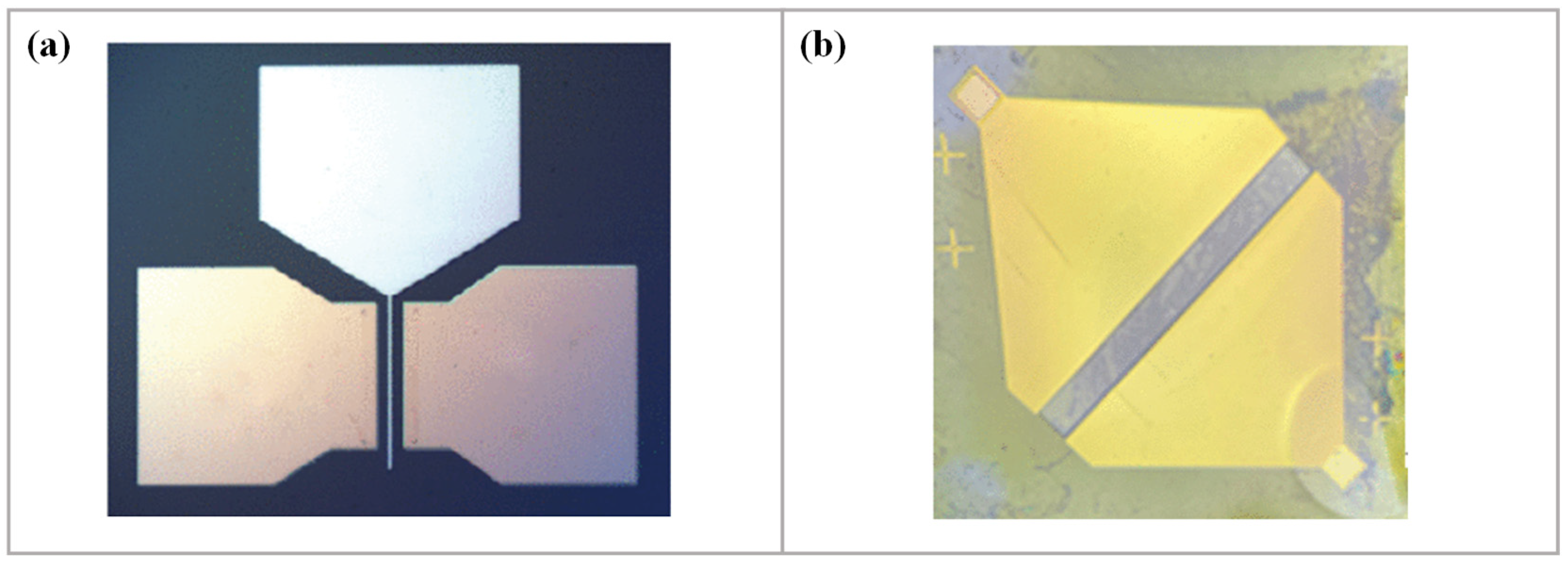 Electronics 13 03881 g001