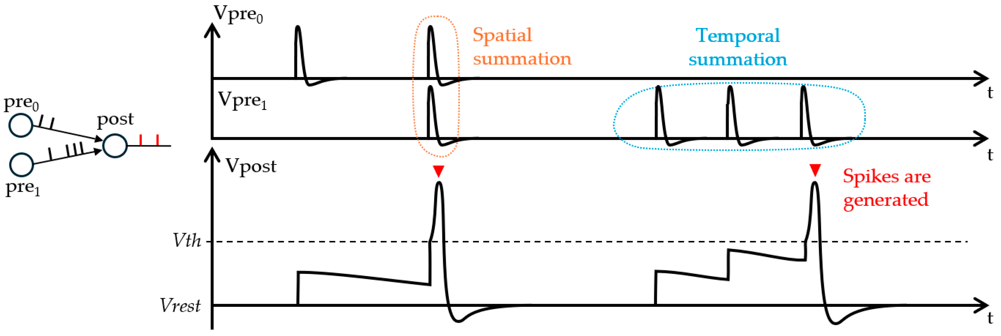 Electronics 13 04858 g001 Electronics 13 04858 g001