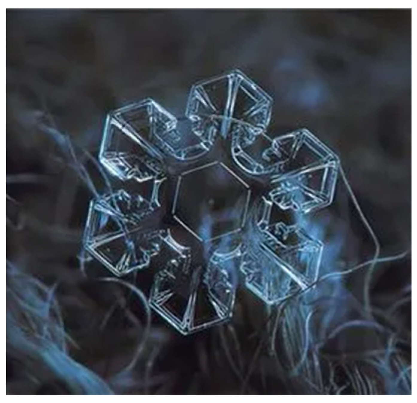 Electronics 14 00237 g004