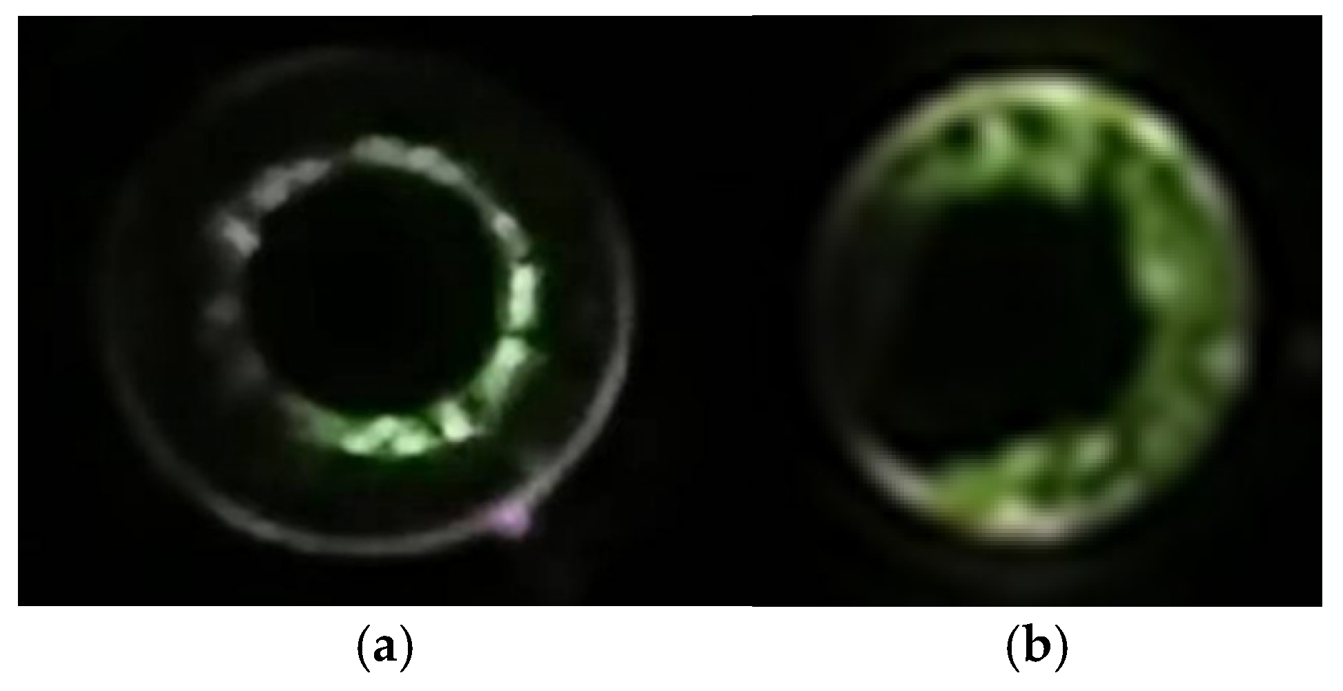 Electronics 14 00390 g013