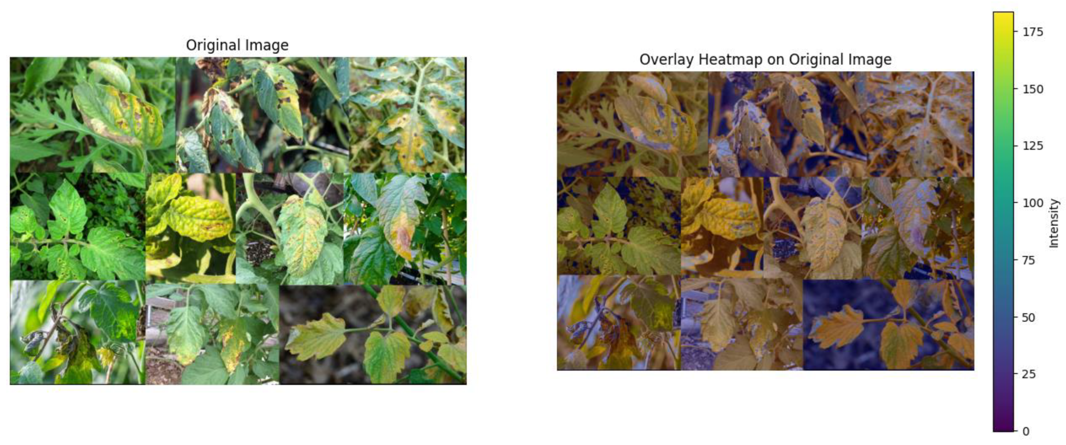 Electronics 14 00661 g015