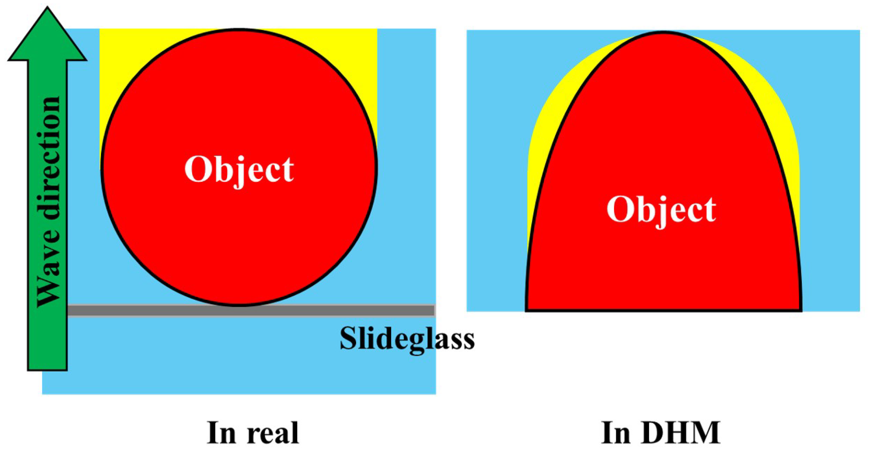 Electronics 14 00879 g005