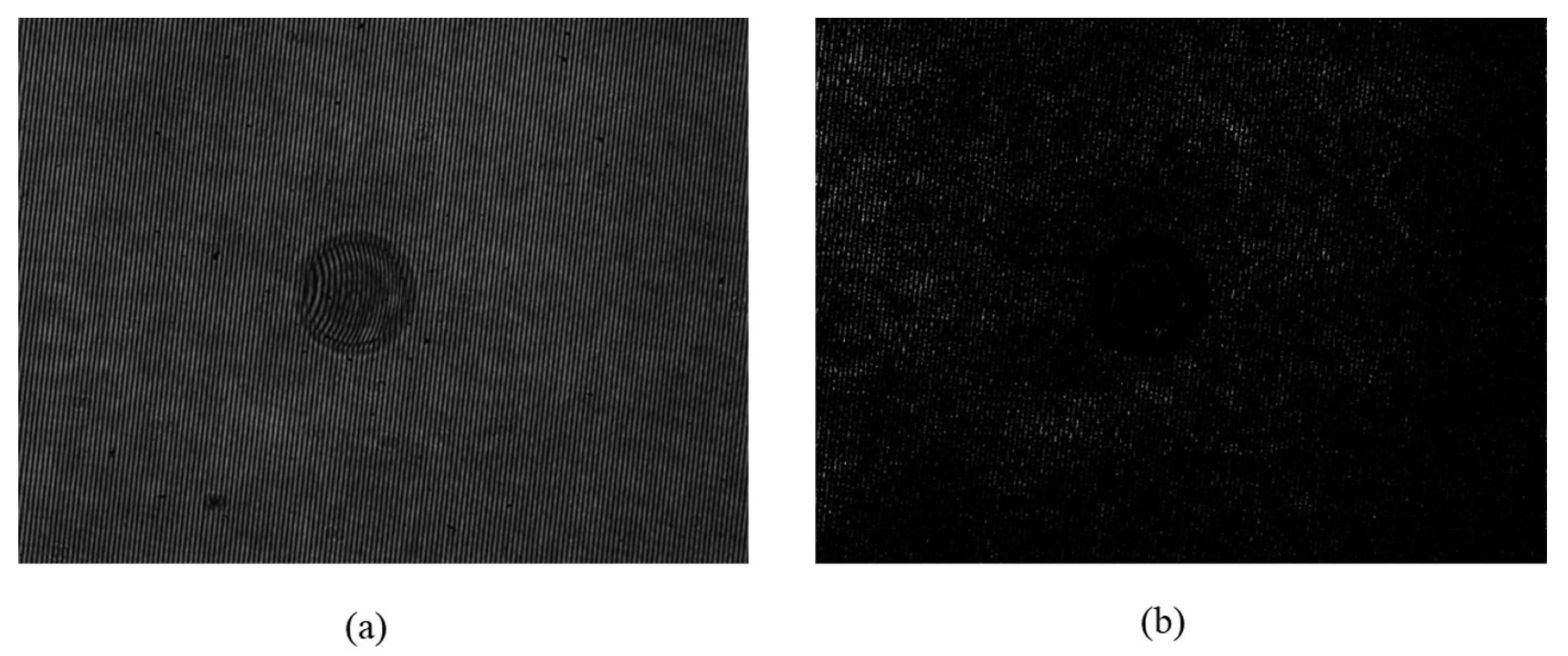 Electronics 14 00879 g007