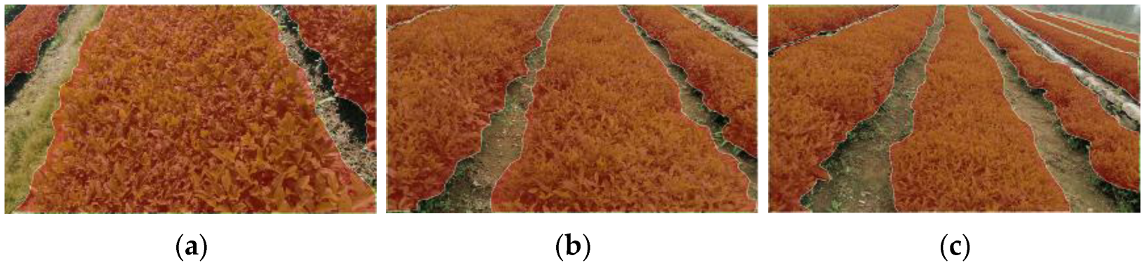 Electronics 14 00988 g003