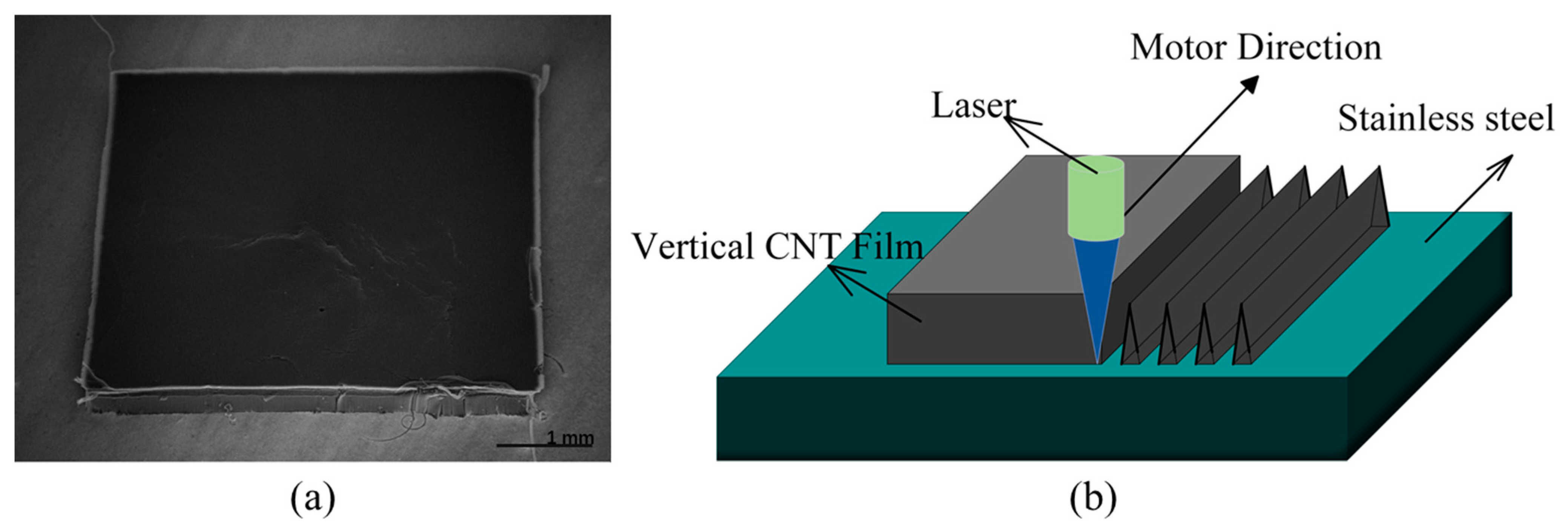 Electronics 14 01268 g001