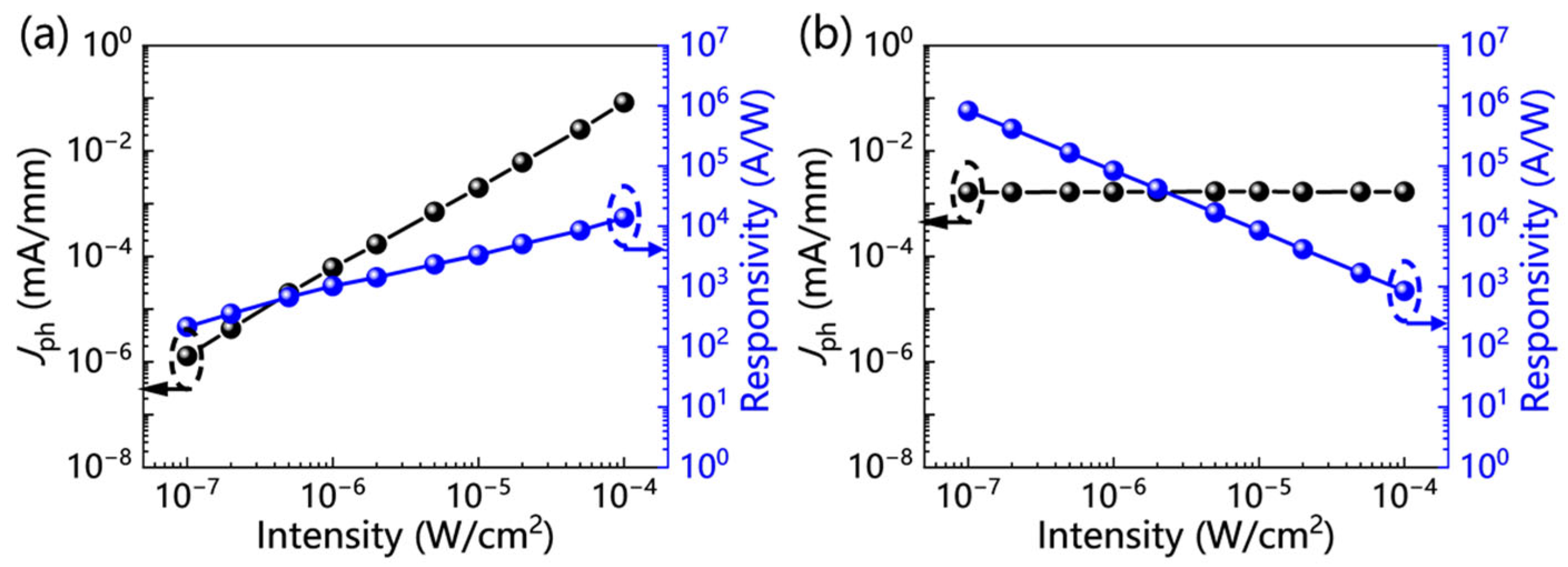 Electronics 14 02076 g006