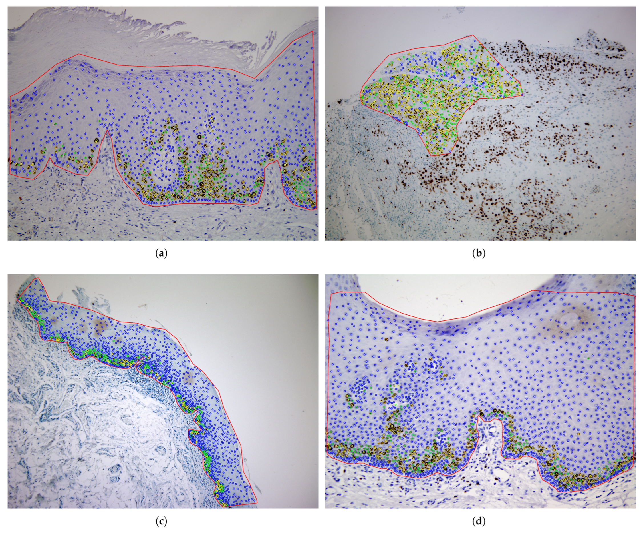 Electronics 14 03705 g002 Electronics 14 03705 g002