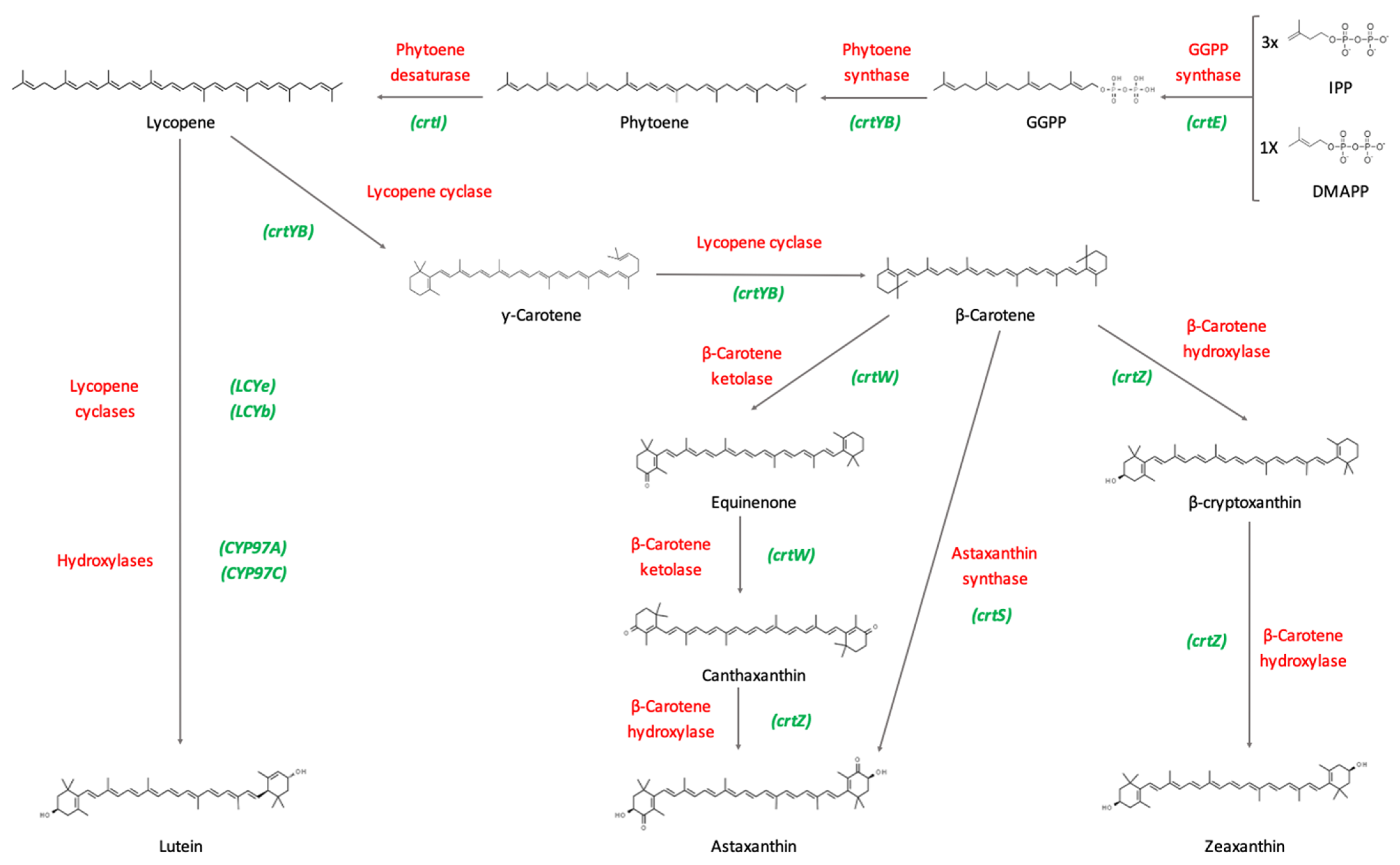 Encyclopedia 01 00093 g003