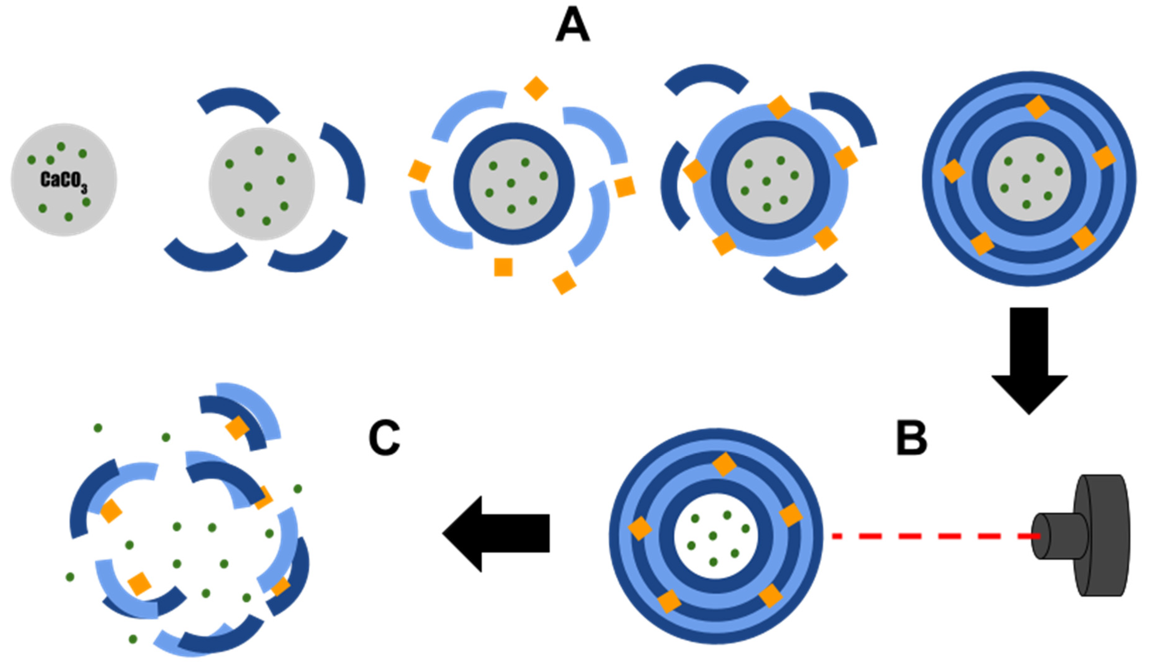 Encyclopedia 02 00026 g001