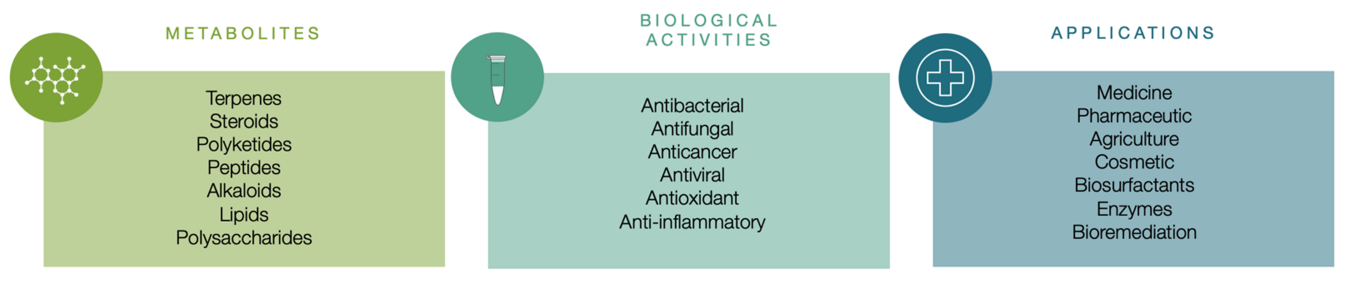 Encyclopedia 02 00037 g005