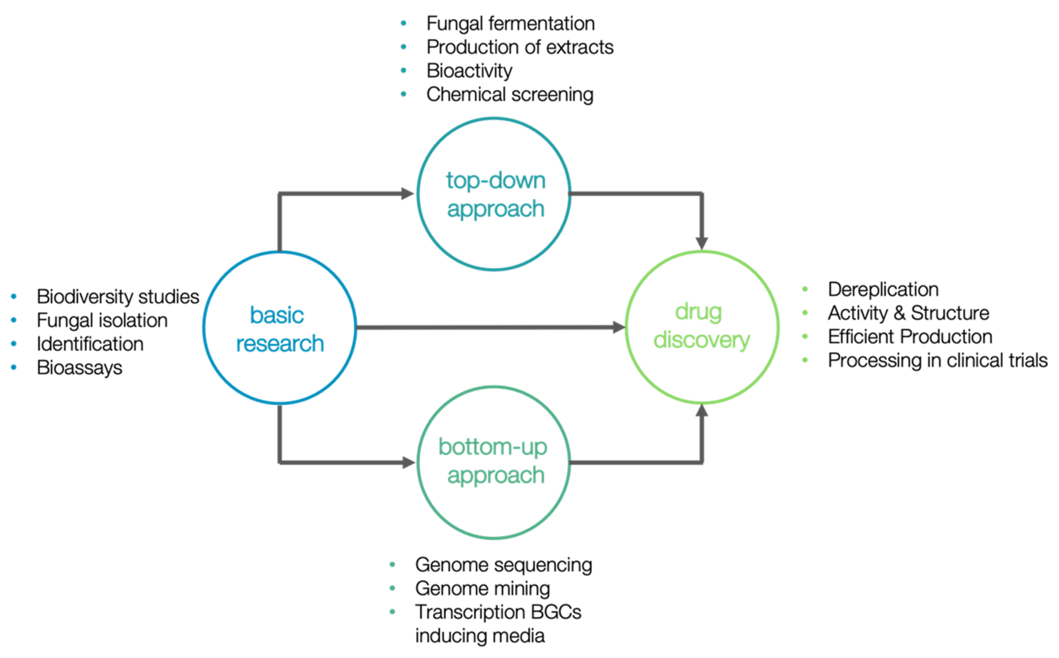 Encyclopedia 02 00037 g006