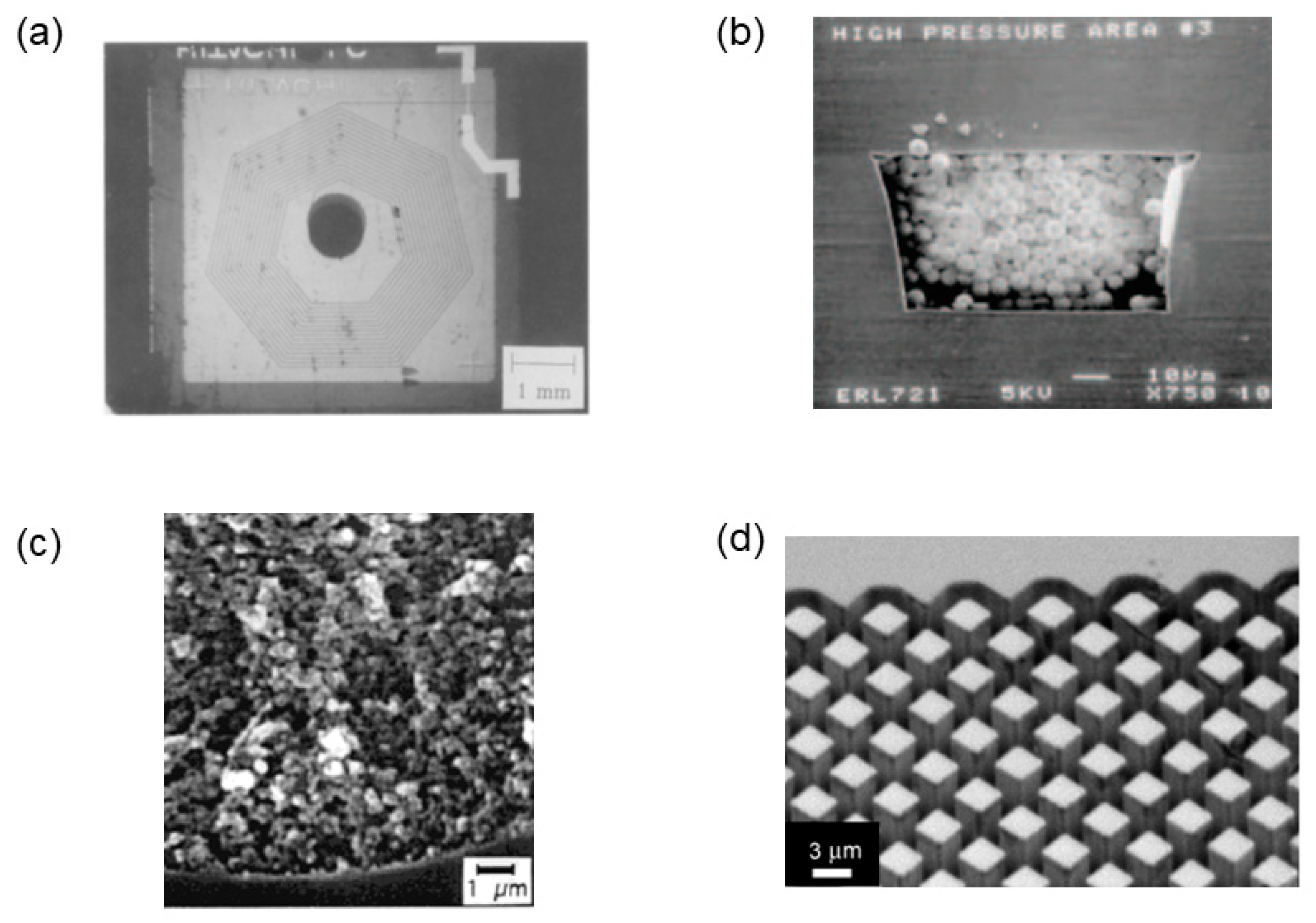 Encyclopedia 02 00041 g001 Encyclopedia 02 00041 g001