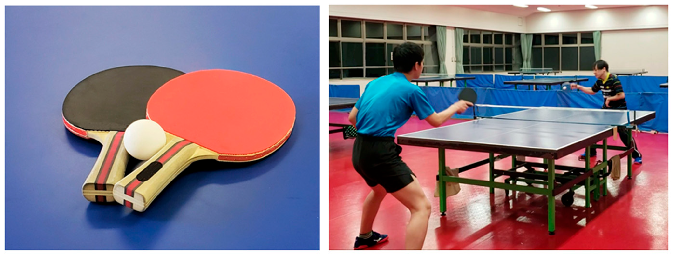 Encyclopedia | Free Full-Text | Benefits of Table Tennis for Brain Health  Maintenance and Prevention of Dementia